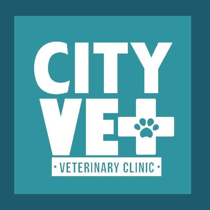 City Vet