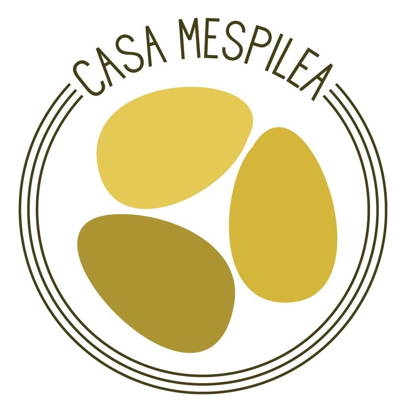 Casa Mespilea