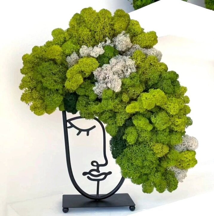 Yes of Moss