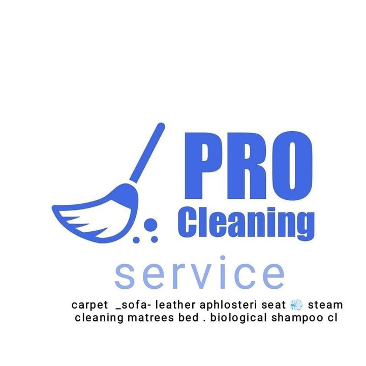 Pro Cleaning
