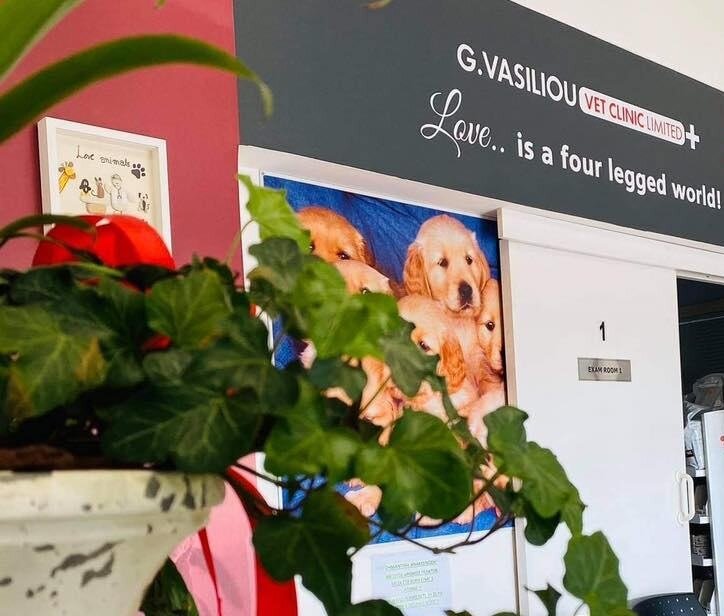 Vasiliou George Vet Clinic