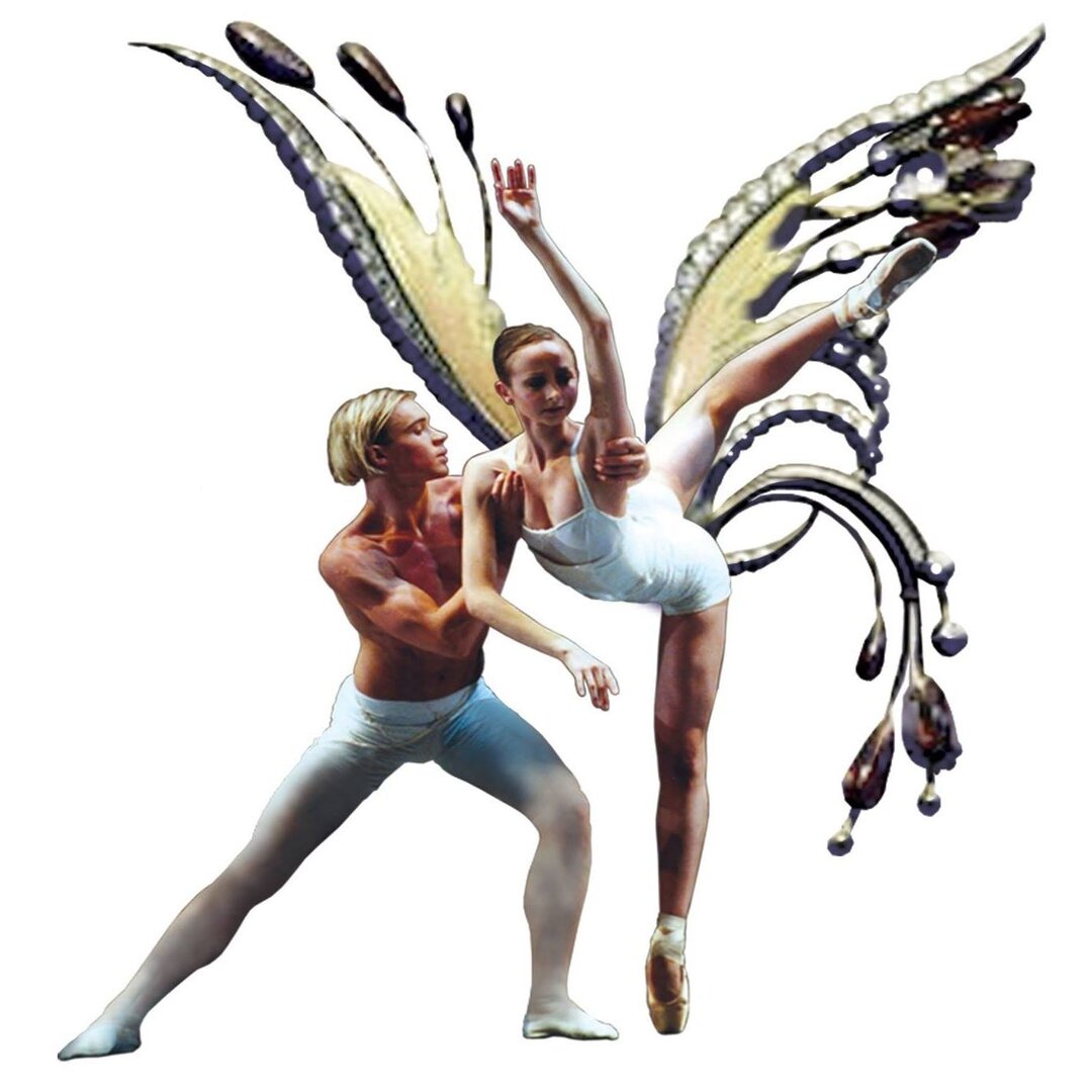 Fly-In-Dance Artistic School