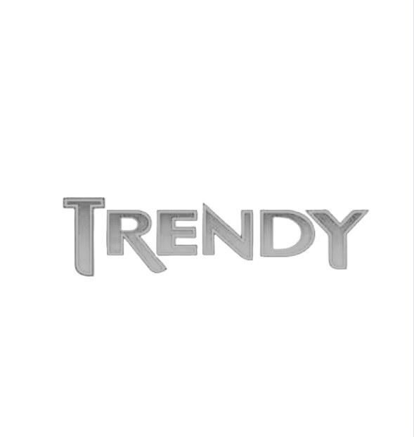 Trendy Hair Salons