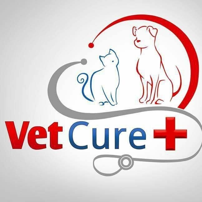 VetCure