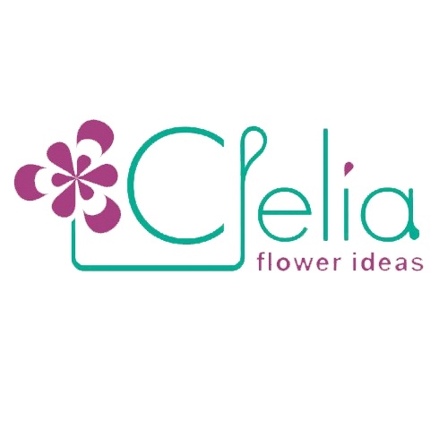 Clelia Flower and Plant Shop