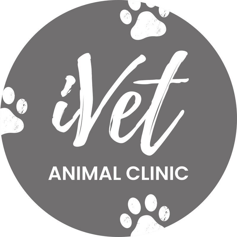 IVet Animal clinic