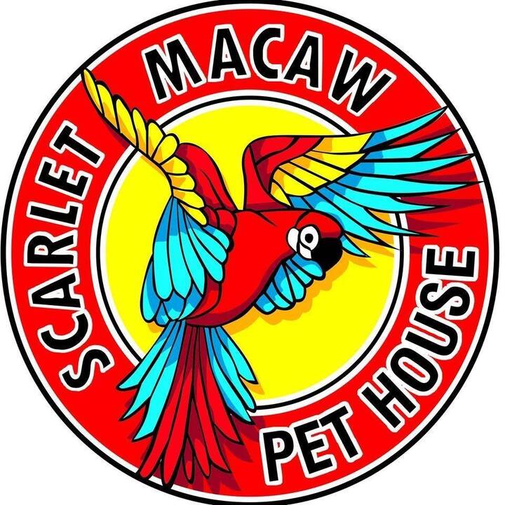 Scarlet Macaw