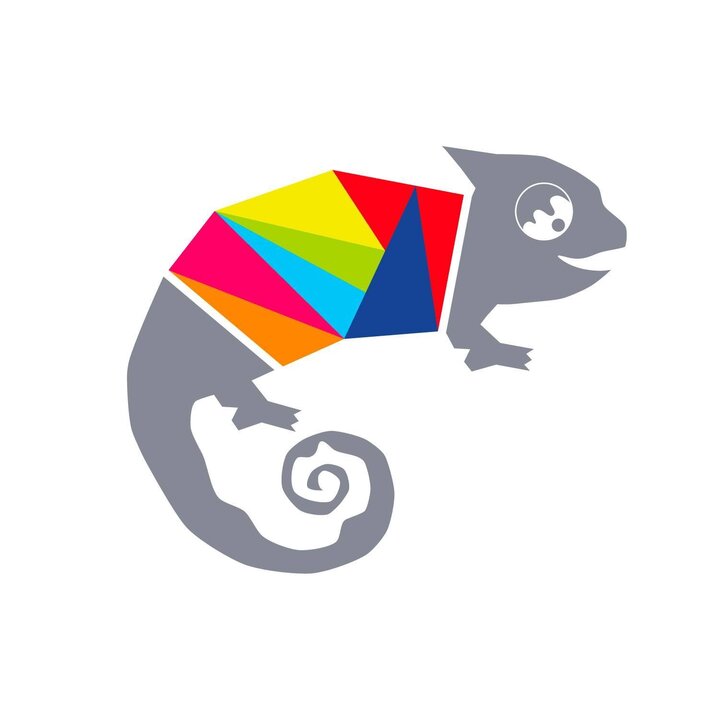 Chameleon Creative Studio