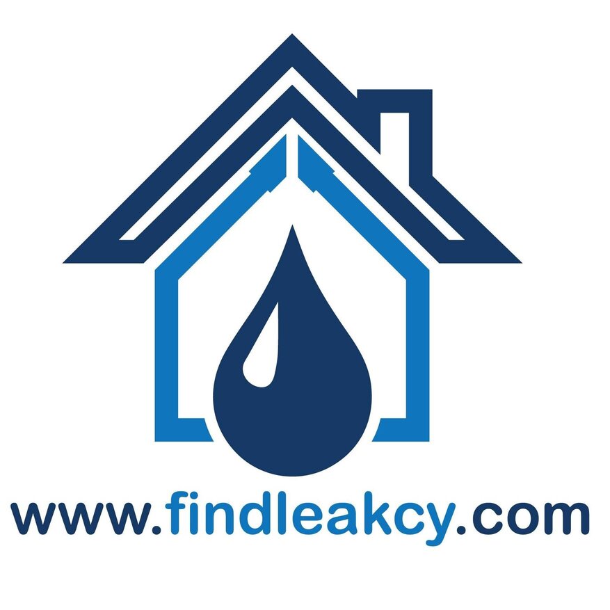 Find Leak Cy
