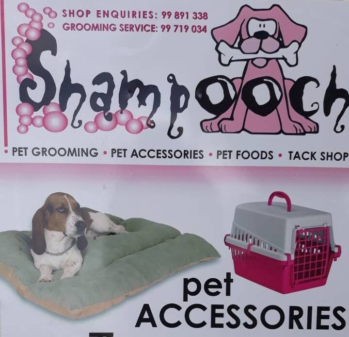 Shampooch