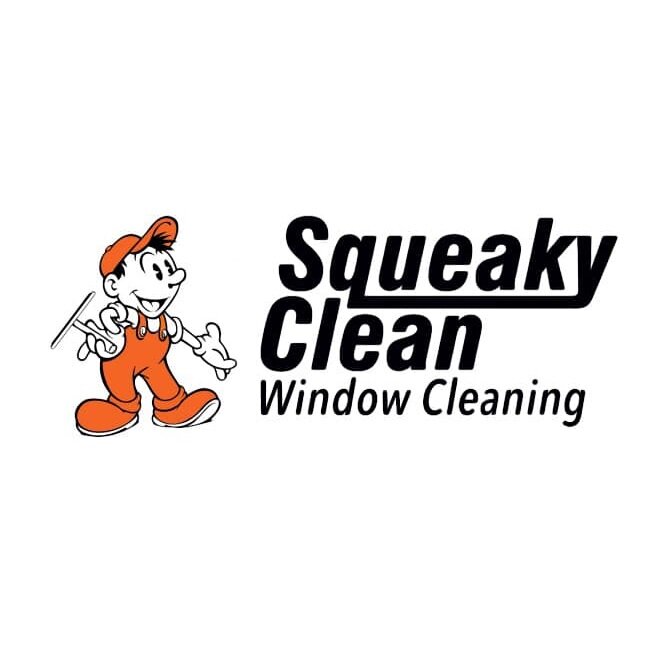 Squeaky Clean Window Cleaning
