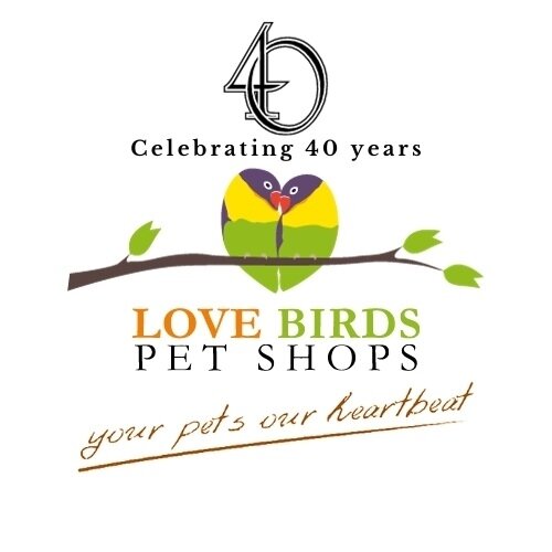Love Birds Pet Shops