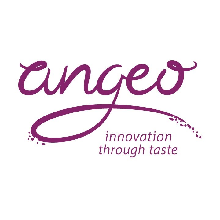 Angeo & Co Ltd